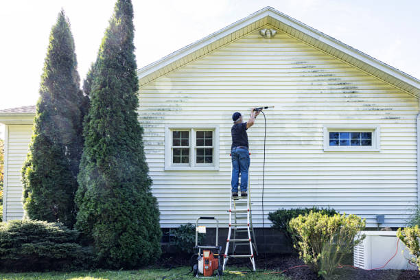 Best Window and Screen Pressure Cleaning in USA